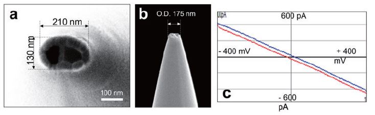 app95_figure01.JPG