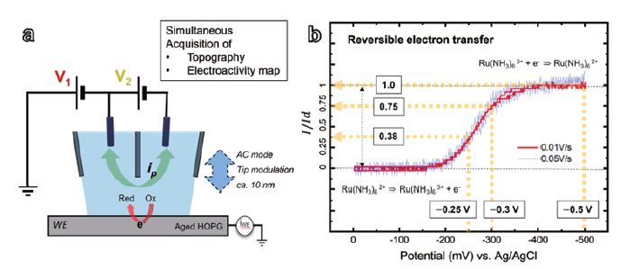 app95_figure02.JPG