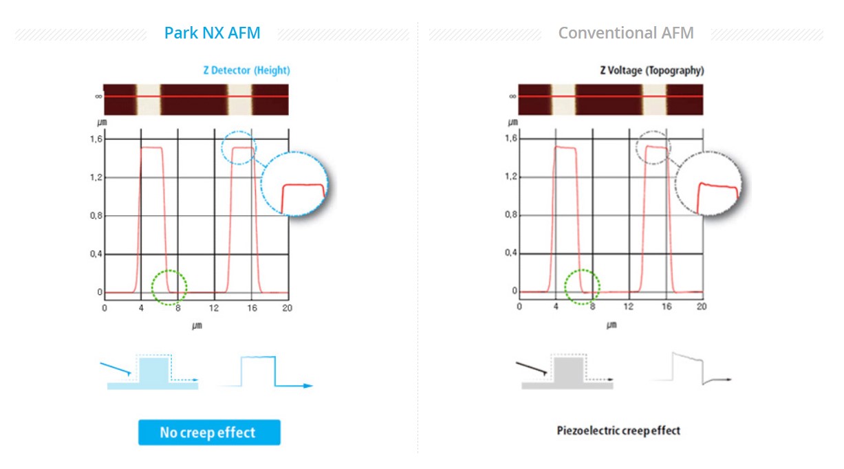 True Sample Topography™ without Piezo Creep Error